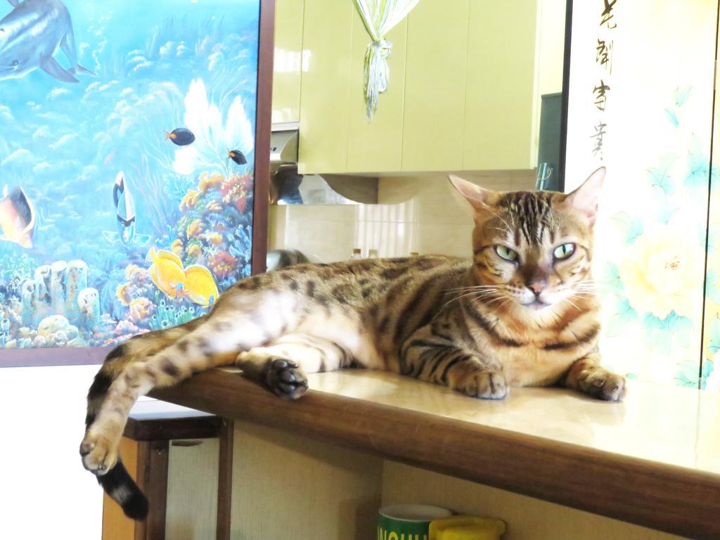 Tou Cheng Whale Watching Homestay โถวเฉิง ภายนอก รูปภาพ